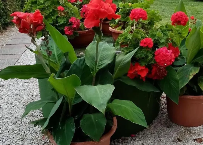 Nyaraló Am By Interhome *